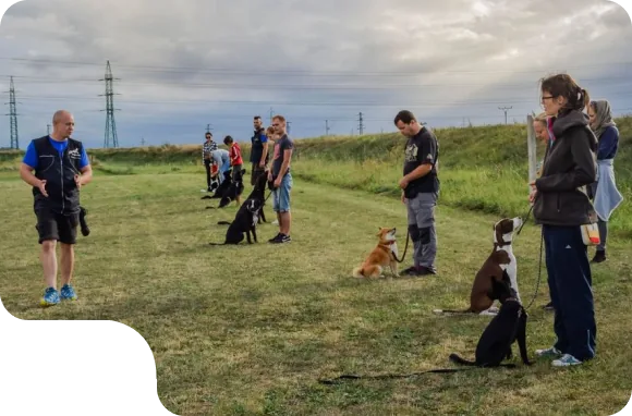 Výcvik psa Výcvik psa